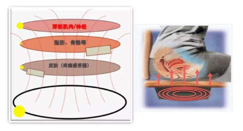 微信图片_20230602110947.png