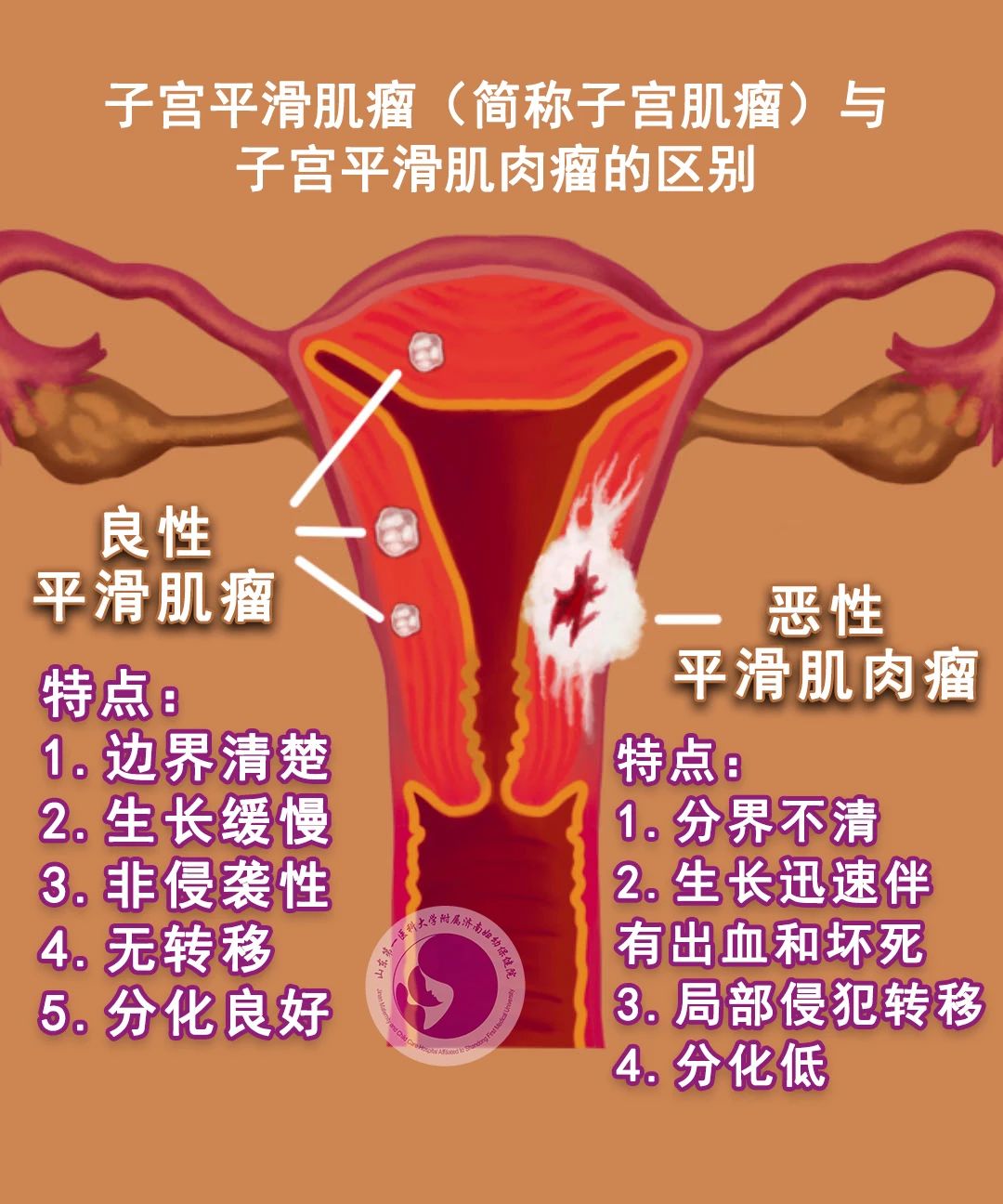微信图片_20250205154403.jpg